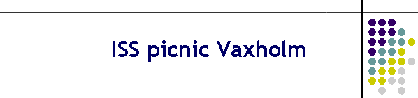 ISS picnic Vaxholm